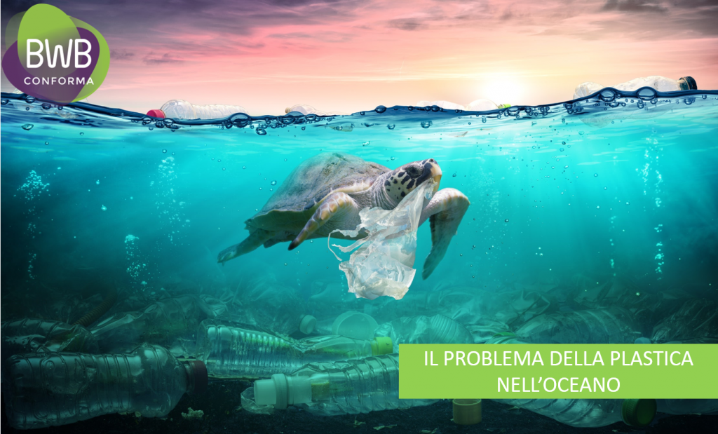 img src="problema della plastica nell'oceano" alt="problema della plastica nell'oceano">