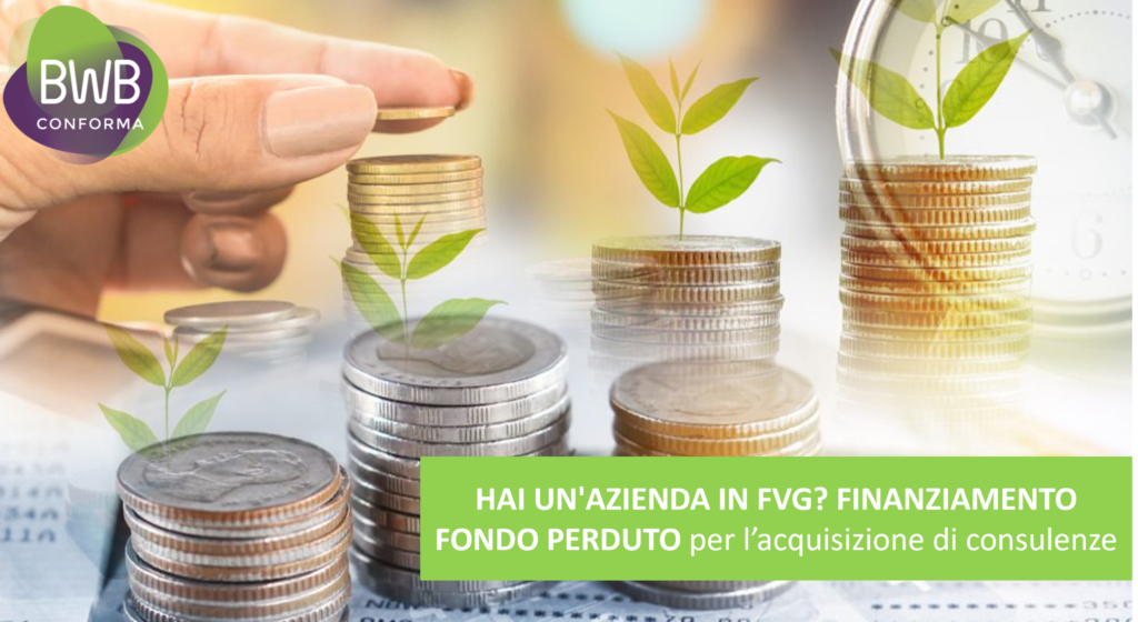 a sostegno delle imprese artigiane per l’acquisizione di consulenze.